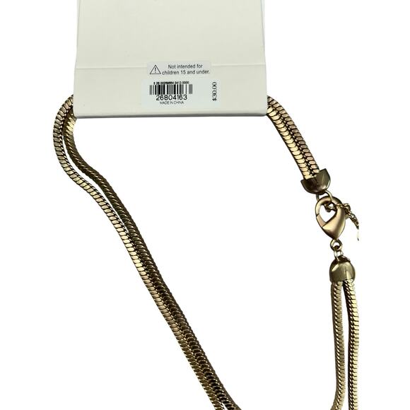 NWT Express Necklace – 17" with 2.5" Extender - Picture 4 of 4